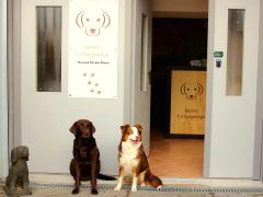 Home_BellaAura